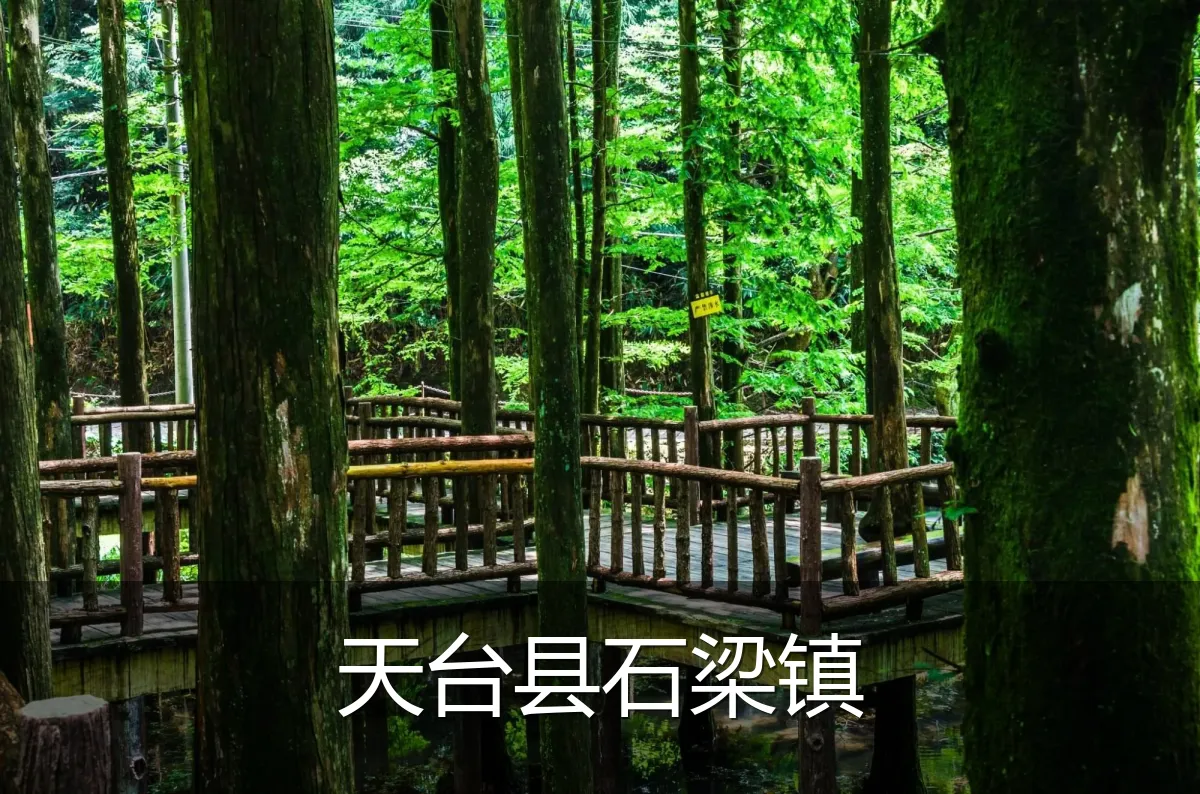 天台县石梁镇